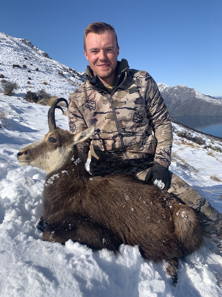 Chamois  New Zealand Deerstalkers Association Inc