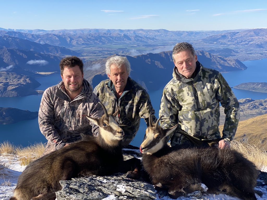 Chamois  New Zealand Deerstalkers Association Inc