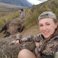 Bull tahr down